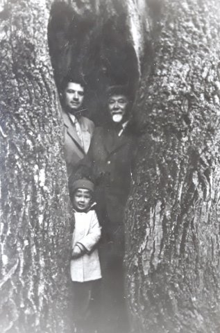 Pranas, Jonas ir Liudas - trijų kartų Mažyliai - Šileikiškio ąžuolo drevėje, 1957 m. rugpjūtis.